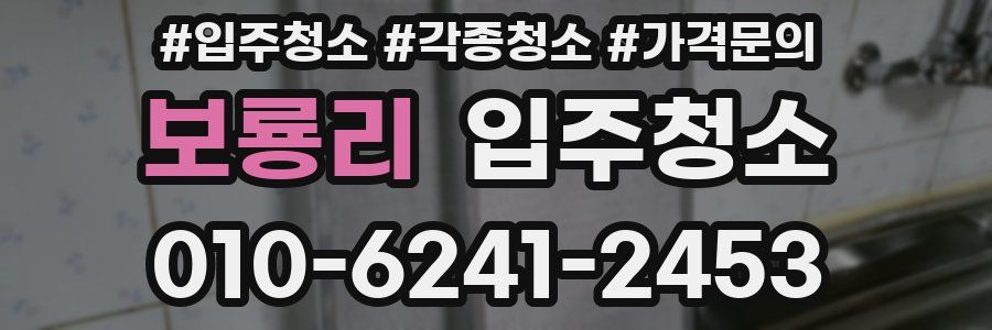 보룡리 이사청소