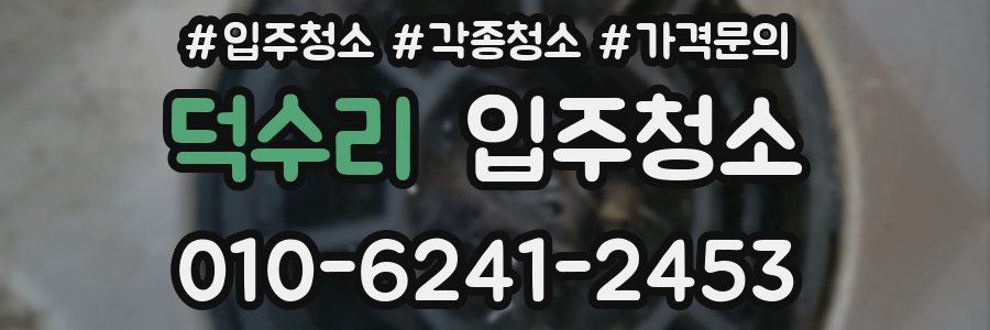 덕수리 이사청소