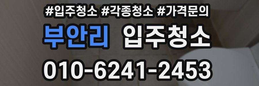 부안리 이사청소