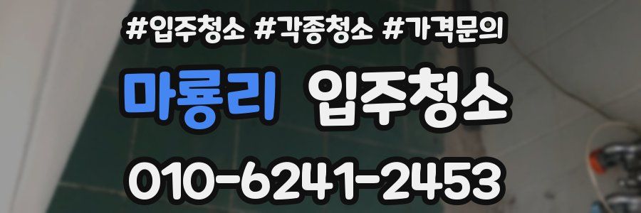 마룡리 이사청소