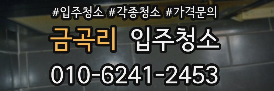 금곡리 이사청소