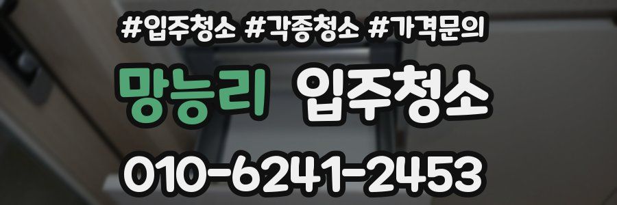 망능리 이사청소