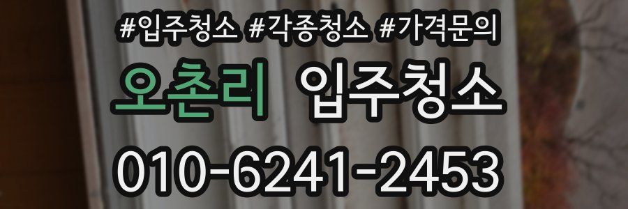 오촌리 이사청소