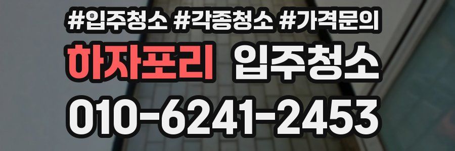 하자포리 이사청소