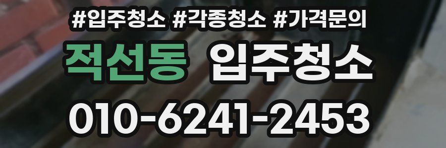 적선동 이사청소