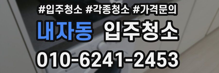 내자동 이사청소