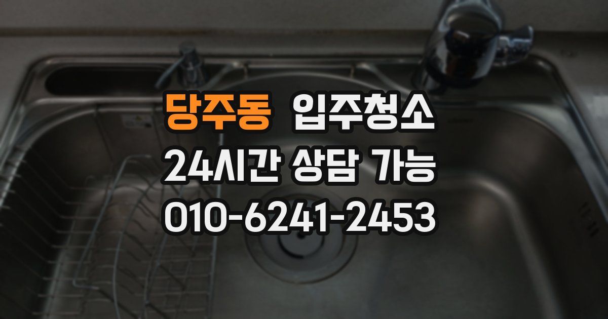 당주동 입주청소