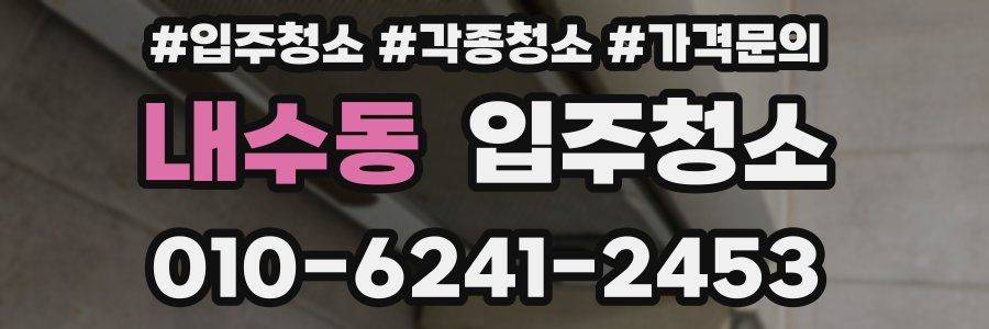 내수동 이사청소