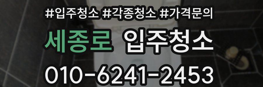 세종로 이사청소
