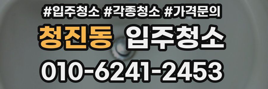 청진동 이사청소