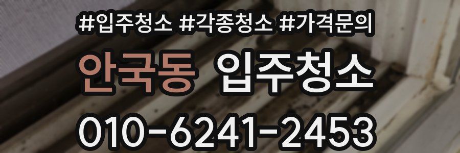 안국동 이사청소