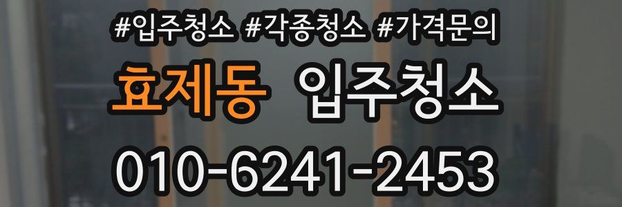 효제동 이사청소