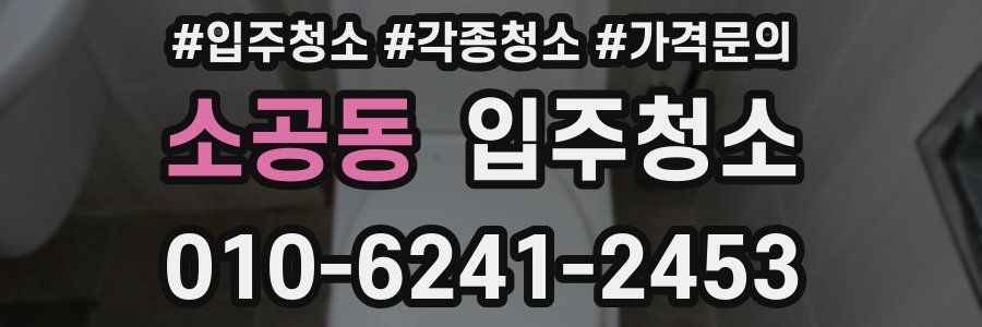 소공동 이사청소