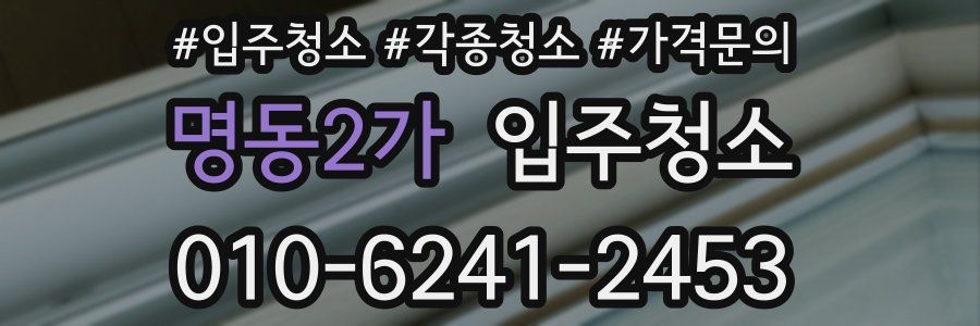 명동2가 이사청소