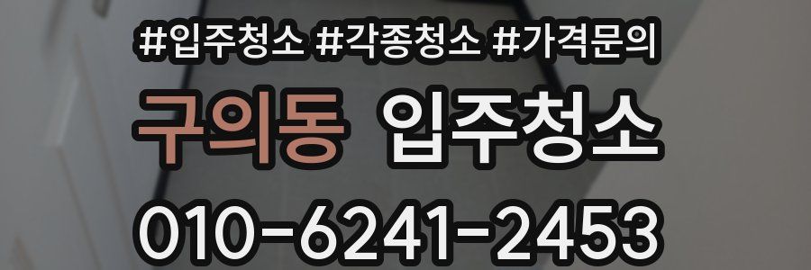 구의동 이사청소