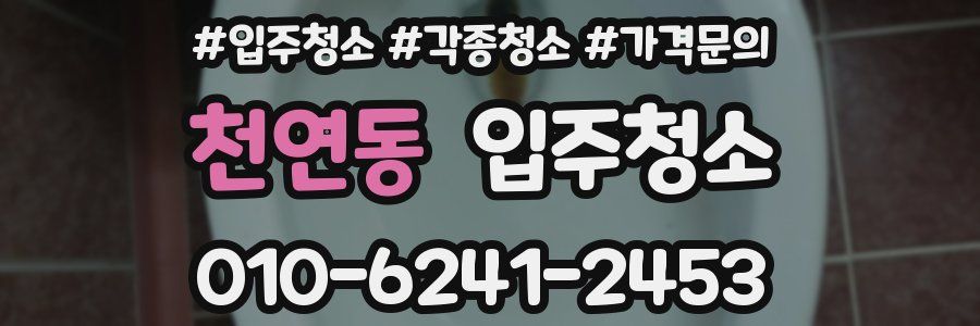 천연동 이사청소