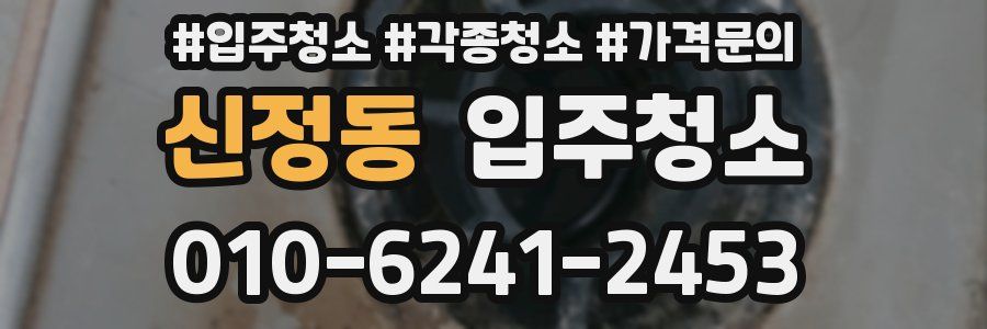 신정동 이사청소