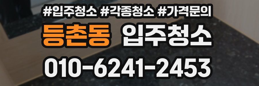 등촌동 이사청소
