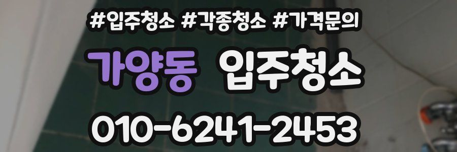 가양동 이사청소