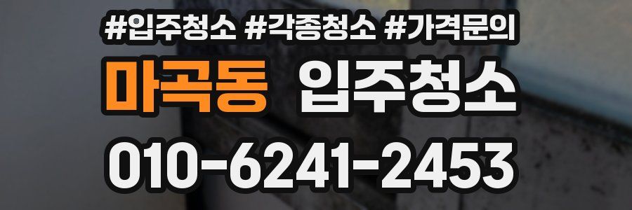 마곡동 이사청소