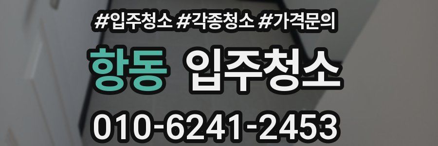 항동 이사청소