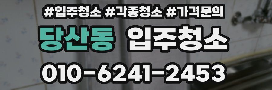 당산동 이사청소