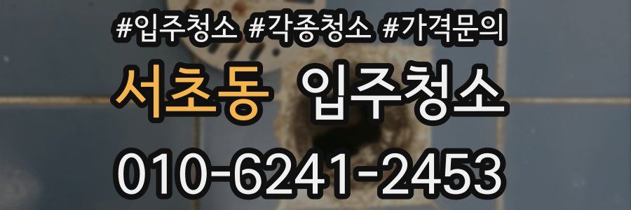 서초동 이사청소