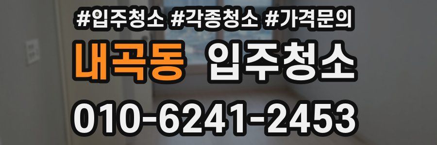 내곡동 이사청소