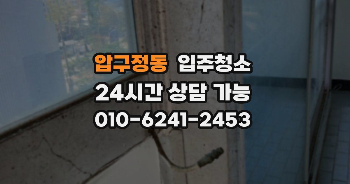 압구정동 입주청소