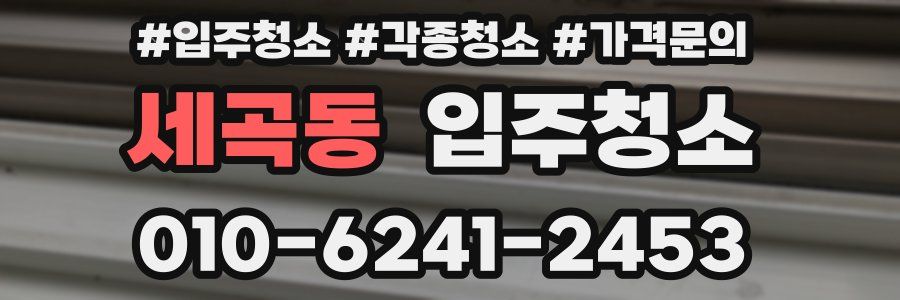 세곡동 이사청소