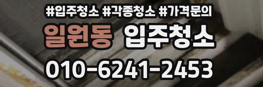 일원동 이사청소