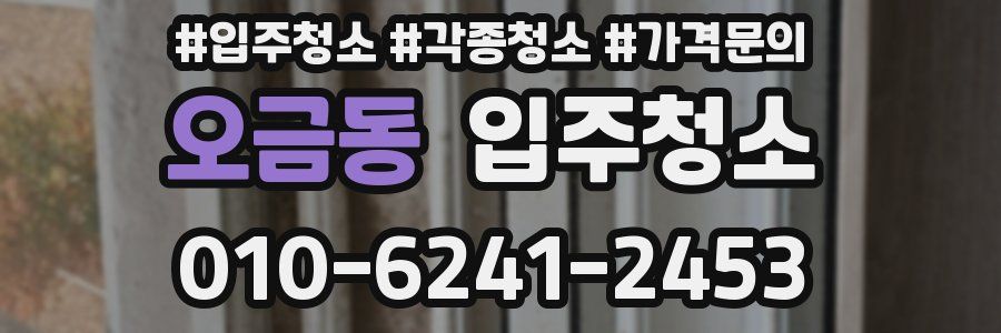 오금동 이사청소