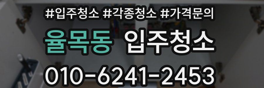 율목동 이사청소