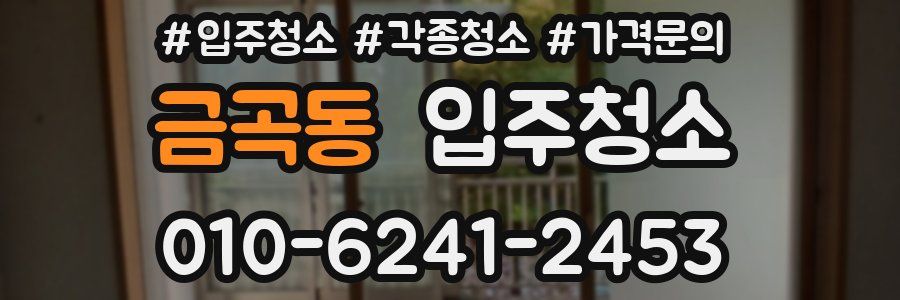 금곡동 이사청소