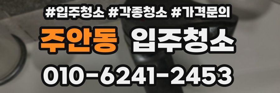 주안동 이사청소