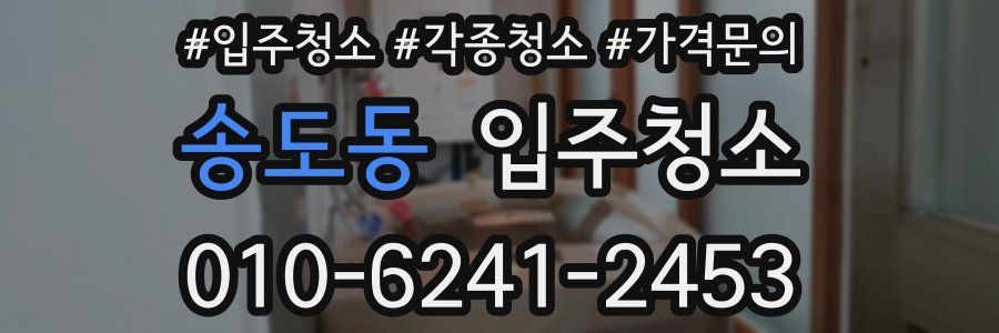 송도동 이사청소