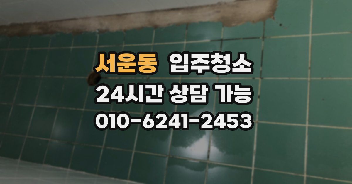 서운동 입주청소