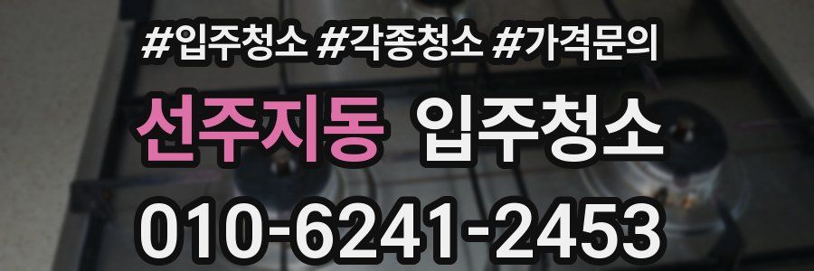 선주지동 이사청소