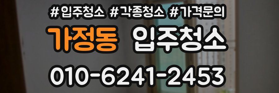 가정동 이사청소