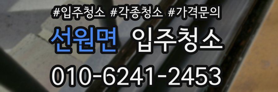 선원면 이사청소