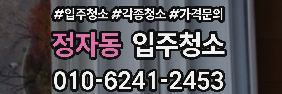 정자동 이사청소