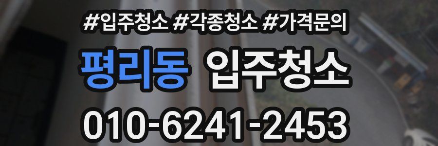 평리동 이사청소