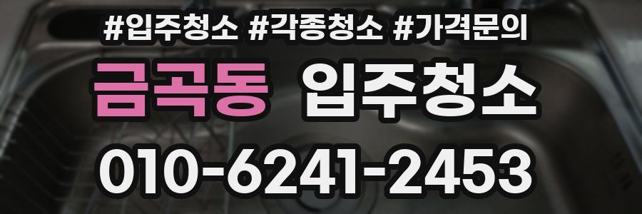 금곡동 이사청소