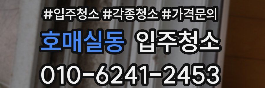 호매실동 이사청소