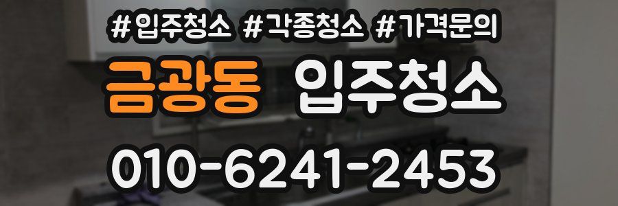 금광동 이사청소