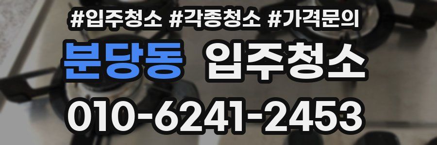 분당동 이사청소