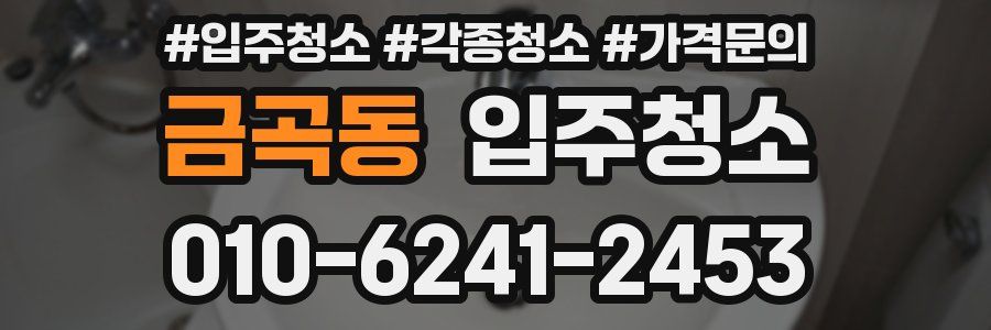 금곡동 이사청소