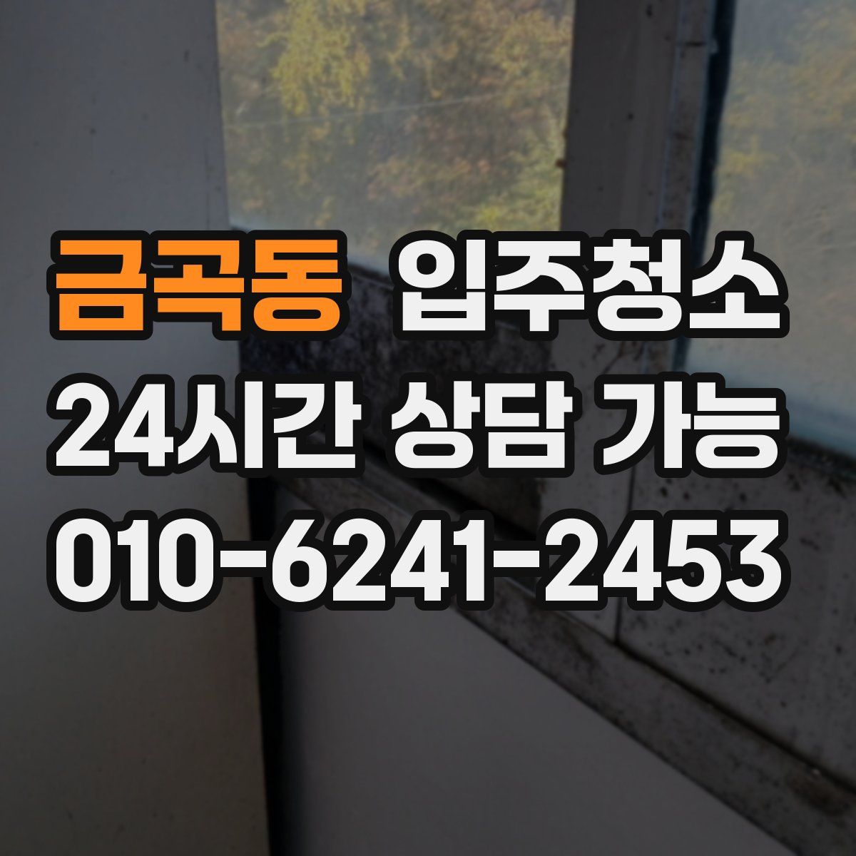 금곡동 원룸청소