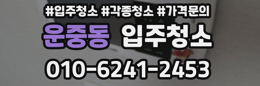 운중동 이사청소