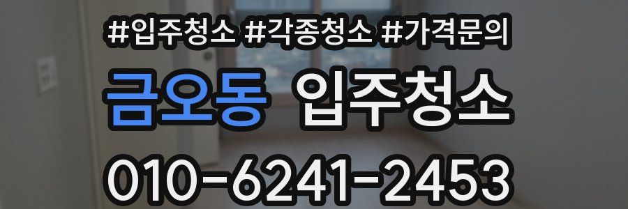 금오동 이사청소